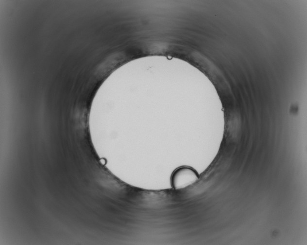 X0000101180525200807250943