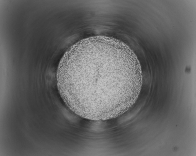 X0000101180527200807250942