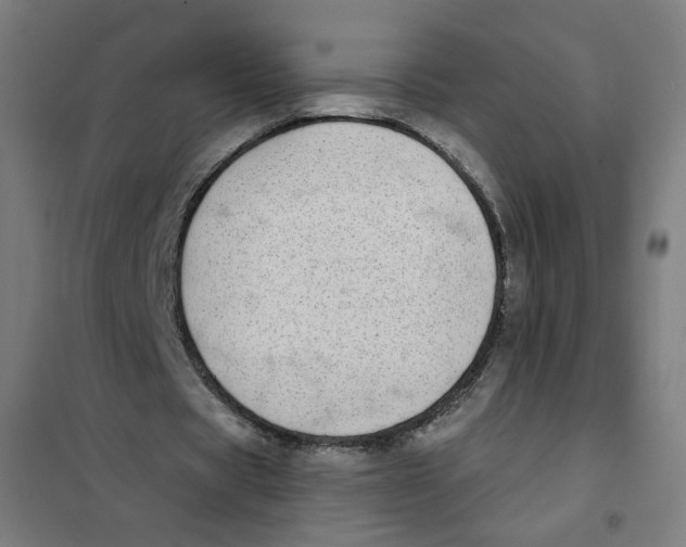 X0000101180529200807250942