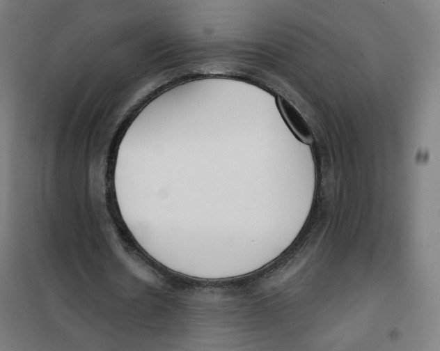 X0000101180530200807250942