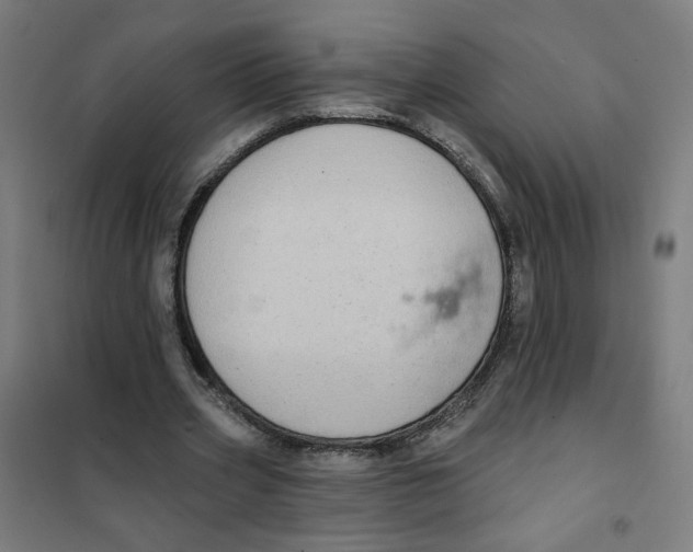 X0000101180533200807250942