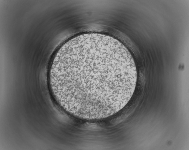 X0000101180534200807250942