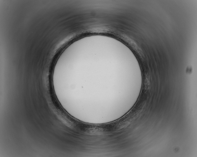 X0000101180535200807250942