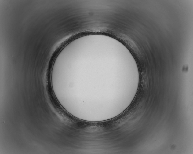 X0000101180536200807250942