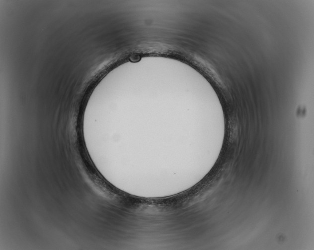 X0000101180538200807250942