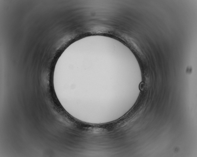 X0000101180539200807250942