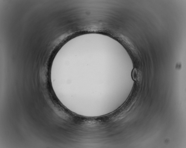 X0000101180540200807250942