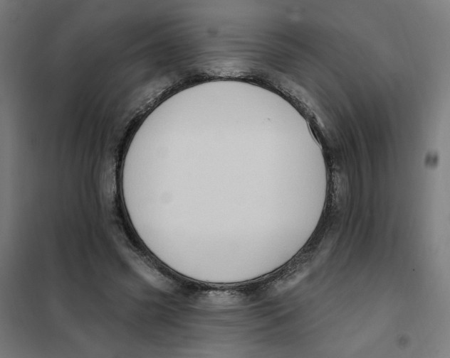 X0000101180541200807250942