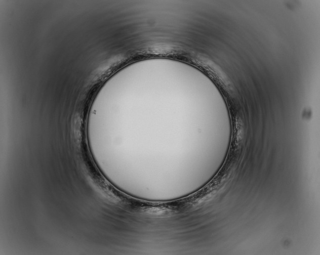 X0000101180542200807250942