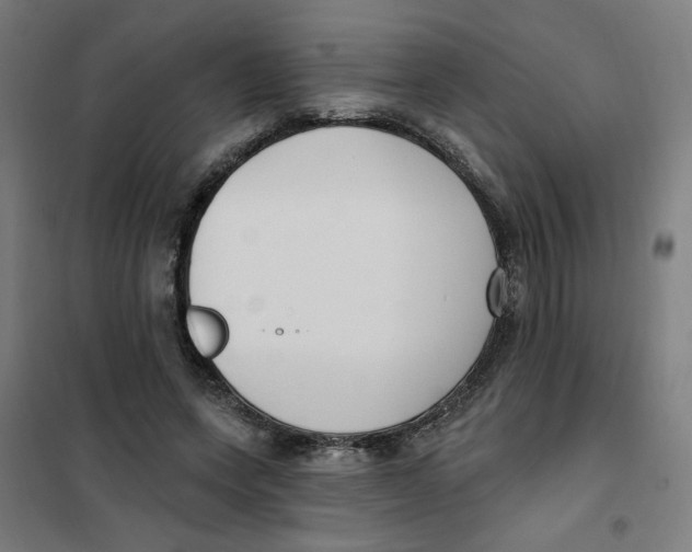 X0000101180543200807250942