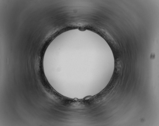 X0000101180544200807250942