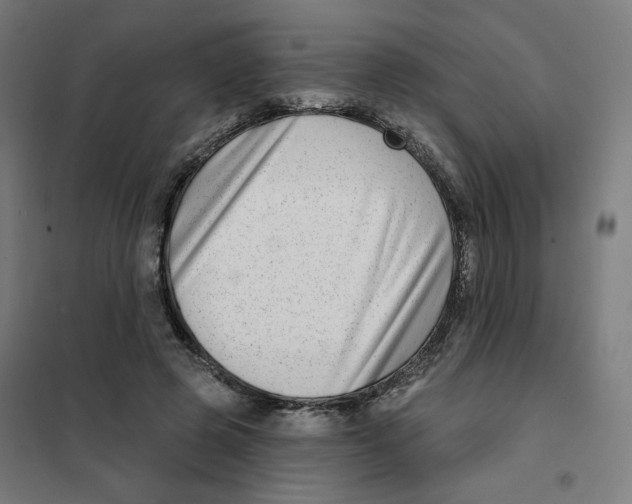 X0000101180545200807250942