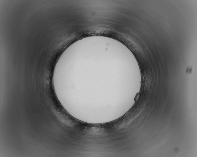 X0000101180546200807250942