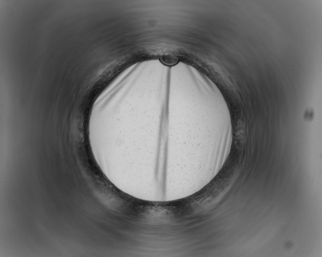 X0000101180547200807250942