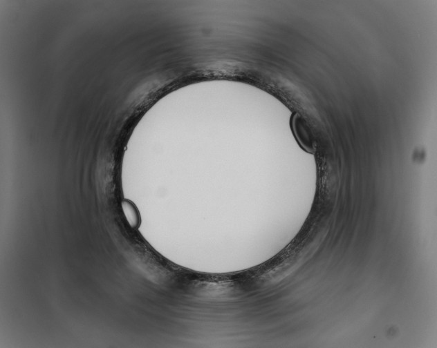 X0000101180548200807250942