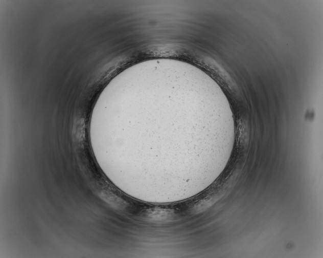 X0000101180549200807250942