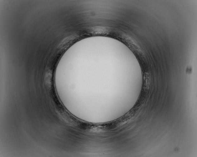 X0000101180550200807250942