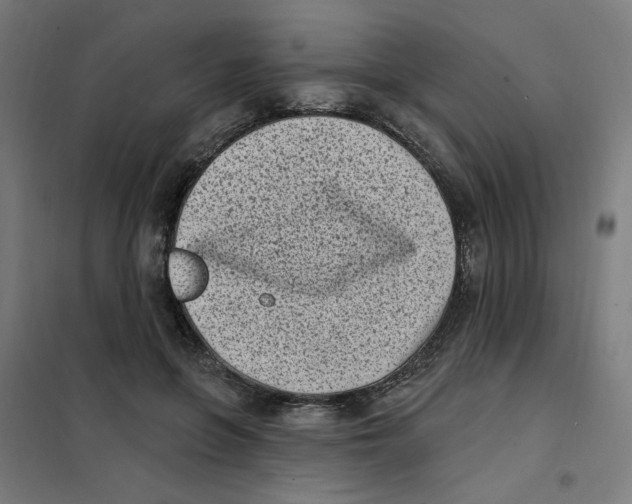 X0000101180551200807250942