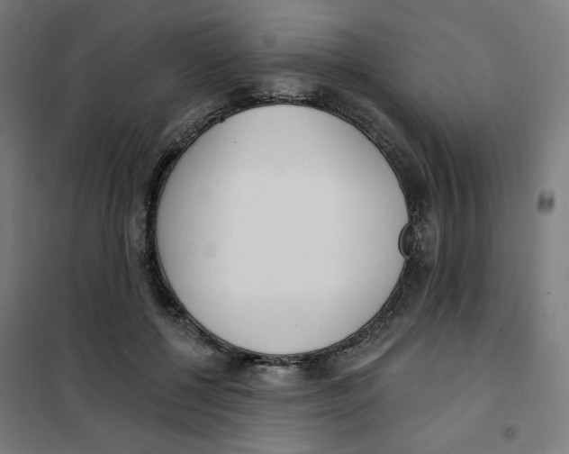 X0000101180552200807250942