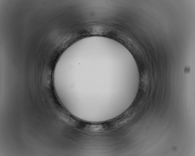 X0000101180554200807250942