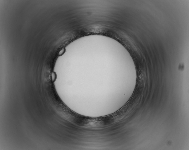 X0000101180555200807250942