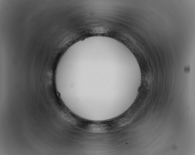 X0000101180556200807250942