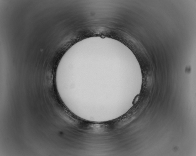 X0000101180558200807250942