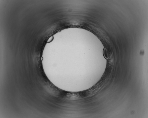 X0000101180559200807250942