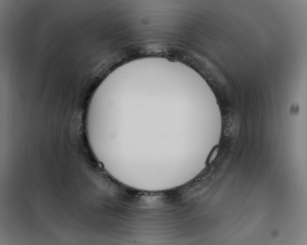 X0000101180560200807250942