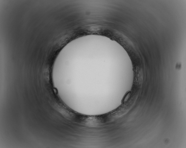 X0000101180562200807250942