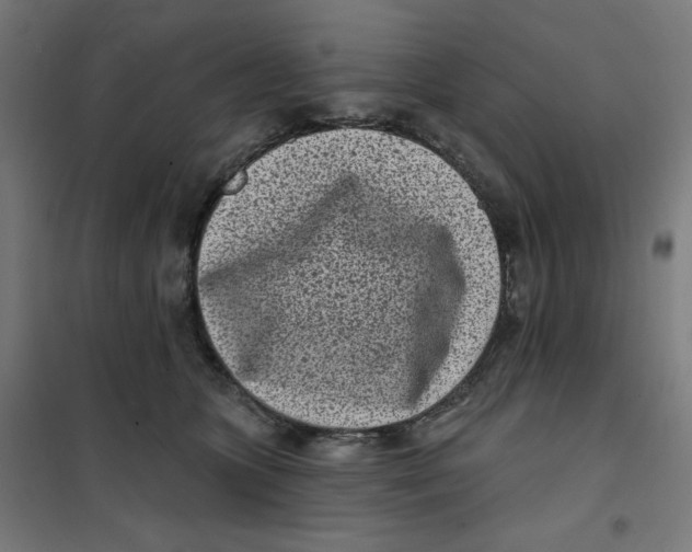 X0000101180563200807250942