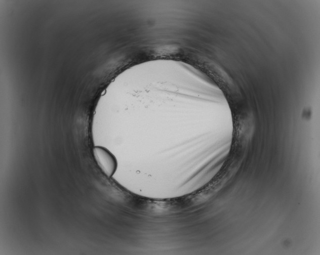 X0000101180565200807250942