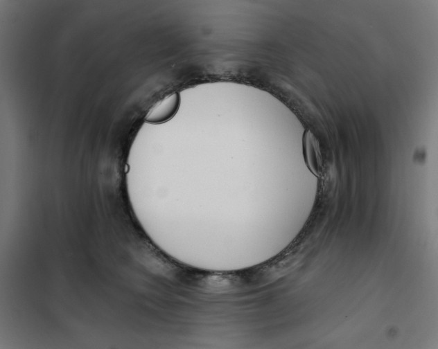 X0000101180566200807250942