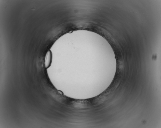 X0000101180567200807250942