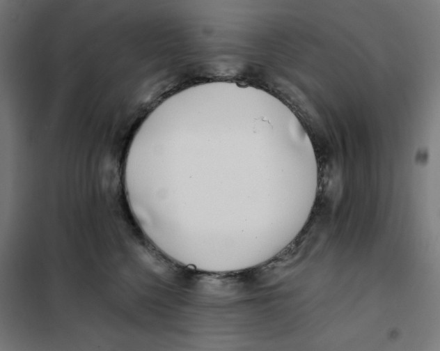 X0000101180568200807250942