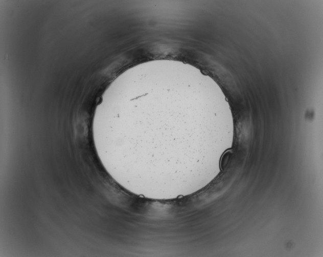 X0000101180570200807250942