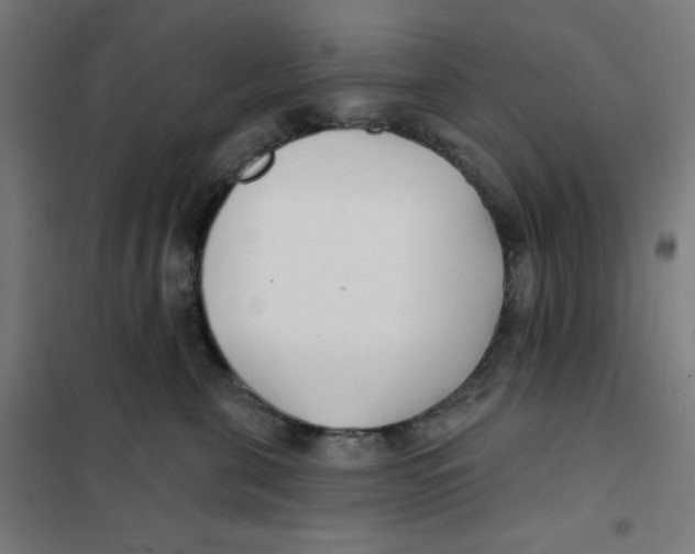 X0000101180571200807250942