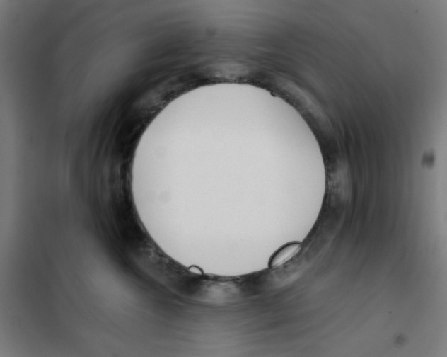 X0000101180572200807250942