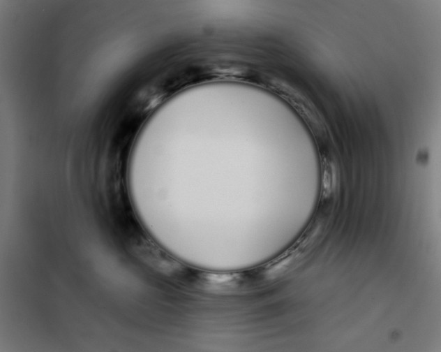 X0000101180573200807250942