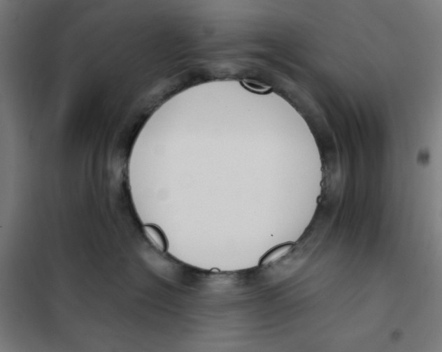 X0000101180574200807250942