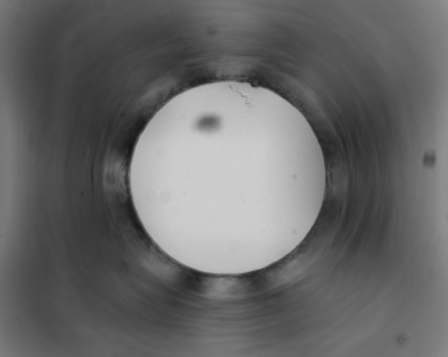 X0000101180575200807250942