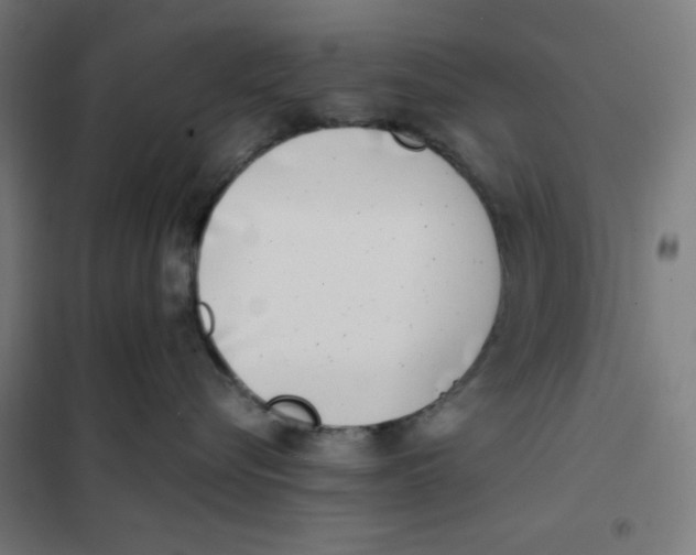 X0000101180576200807250942