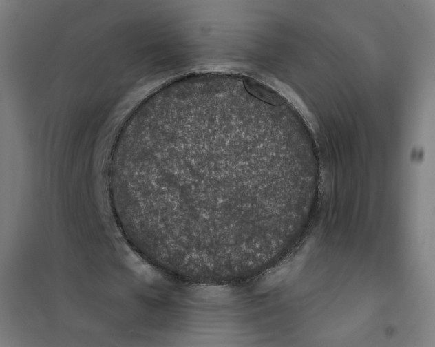 X0000101180577200807250942