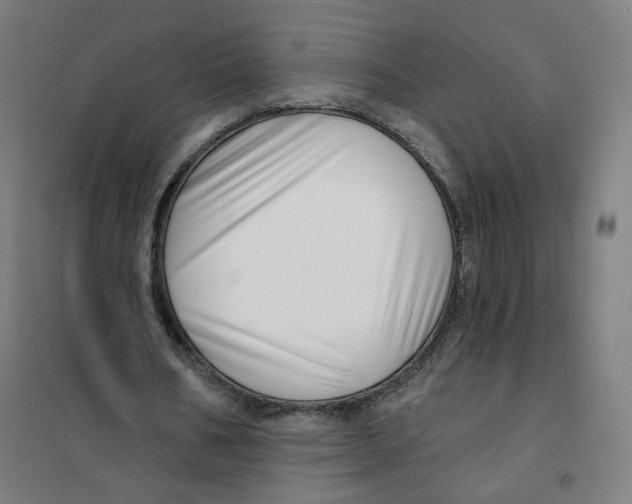 X0000101180578200807250942