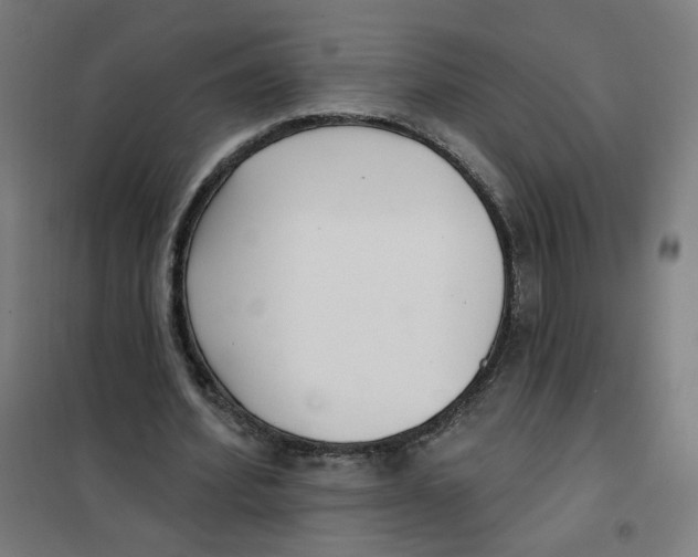 X0000101180580200807250942