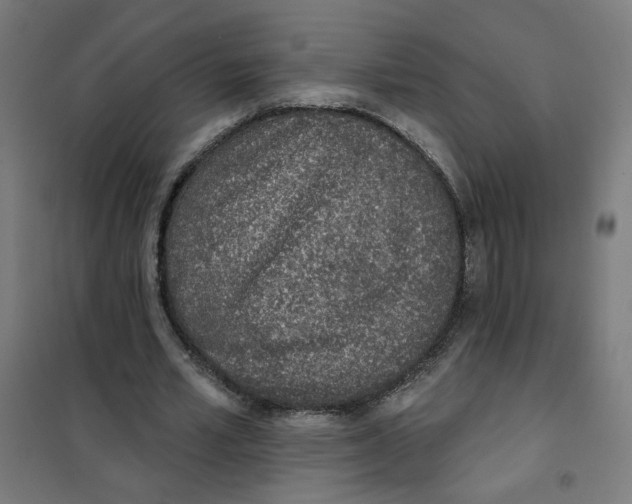 X0000101180581200807250942