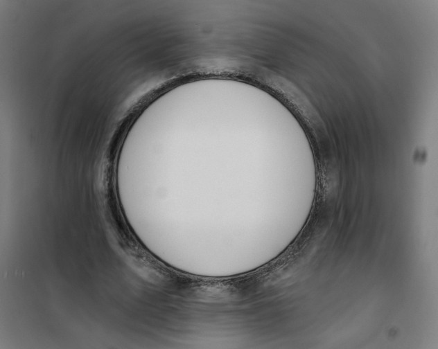 X0000101180583200807250942