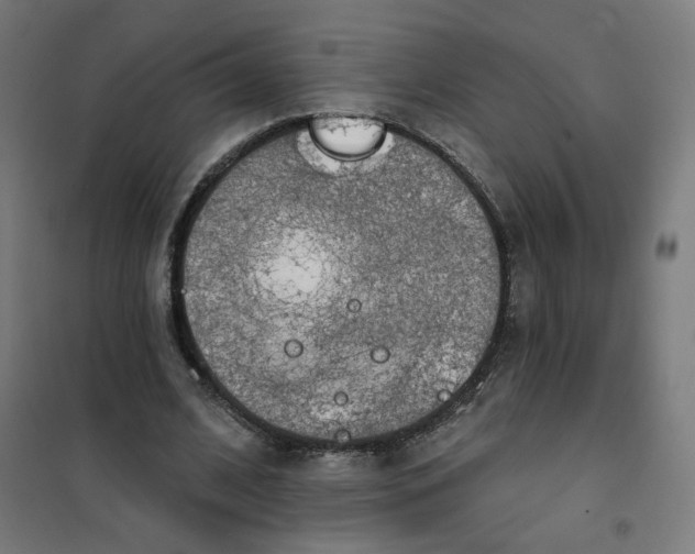 X0000101180584200807250942