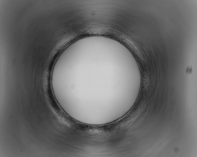 X0000101180586200807250942