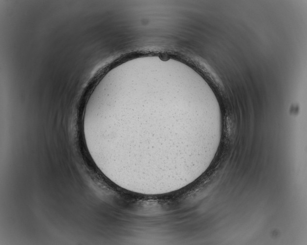 X0000101180588200807250942